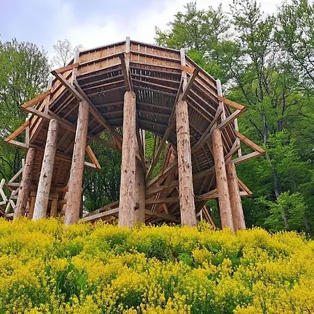 Direkt In Der Apartment
